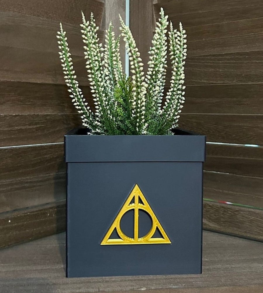 Guia de presentes para fãs de Harry Potter: um vaso especial