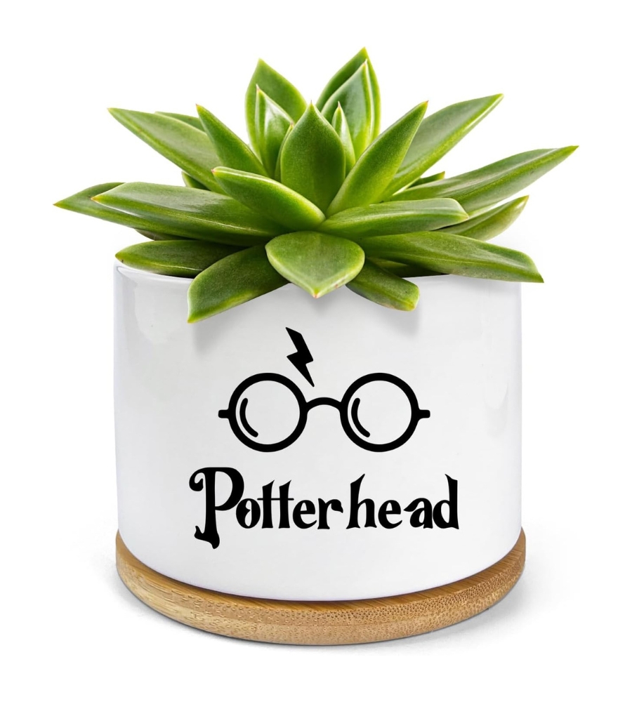 Guia de presentes para fãs de Harry Potter: um vaso para potterheads