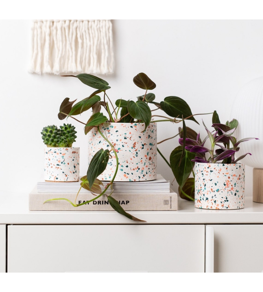 Ideias de Presentes para Apaixonados por Flores e Plantas