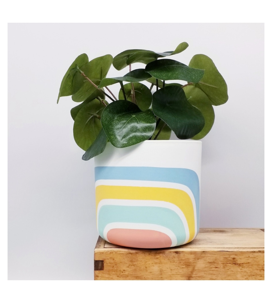 Ideias de Presentes Para Apaixonados Por Vasos, Flores e Plantas
