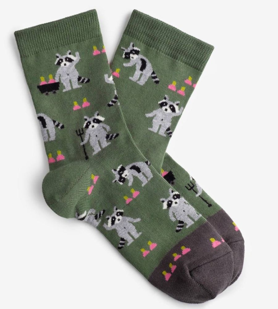 Troca de presentes no amigo secreto no Natal: meias com guaxinins divertidos