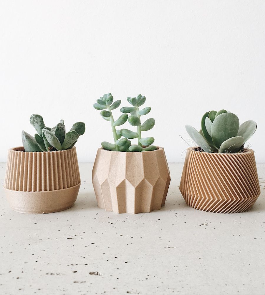 Troca de presentes no amigo secreto no Natal:  vasos de plantas sofisticados