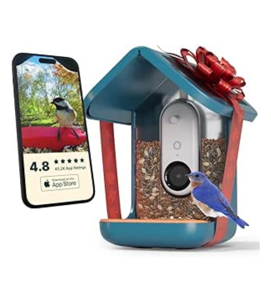 Ideias de presentes BlackFriday: Comedouro de pássaros com câmara e ligação ao telemóvel